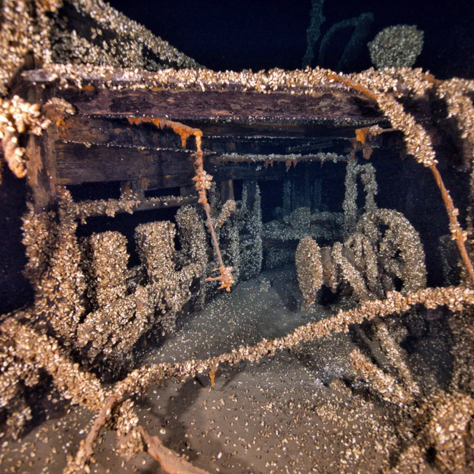 A view inside the wreck of the steamship Iona, showing preserved wooden beams and machinery, all heavily covered in mussels. The dim light and still water give the scene a haunting, frozen-in-time quality.