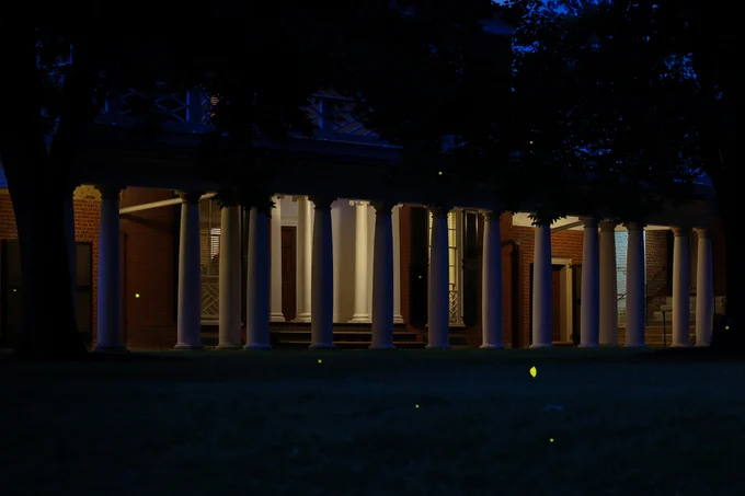Nighttime view of the Lawn at the University of Virginia, showcasing the illuminated columns of its historic academic buildings.