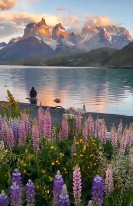 
The beauty of the lake and snowy peaks in a frame.