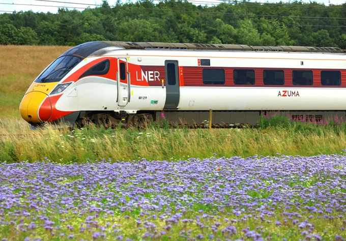 A London North Eastern Railway Azuma train travels through a colourful field with purple flowers.