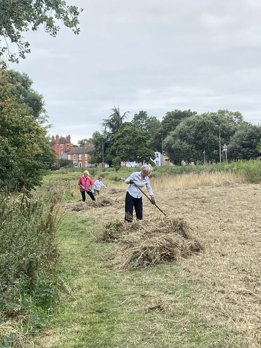 Three volunteers raking up the dried meadow cuttings using traditional style wooden hay rakes. Ideally the cuttings would be baled. Without an available baler the cuttings will be composted in site.