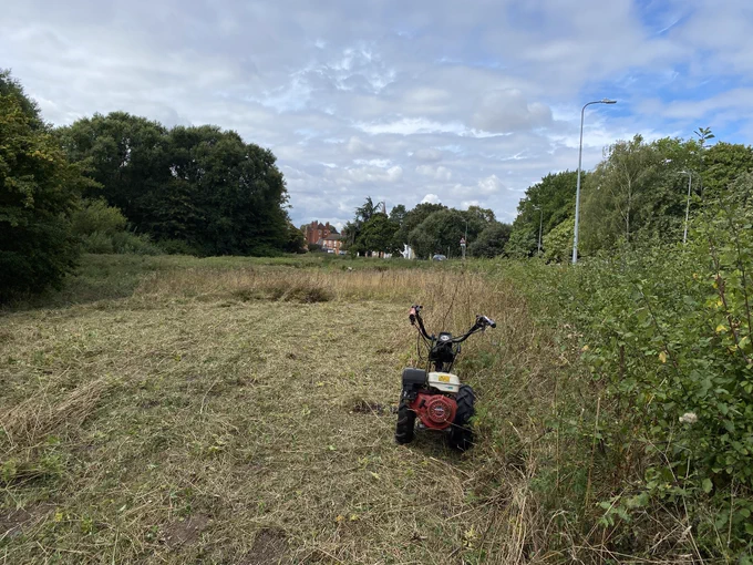 A partial meadow cut carried out by the CountrysideNK Ranger using an Allen Scythe. A self propelled pedestrian mower with a reciprocal cutting bar. The cuttings were left for a couple of days to allow any insects, amphibians and small mammals to disperse.  Parts of the meadow will remain uncut over the Autumn and Winter to allow insects-particularly butterfly caterpillar larvae to complete their life cycle.