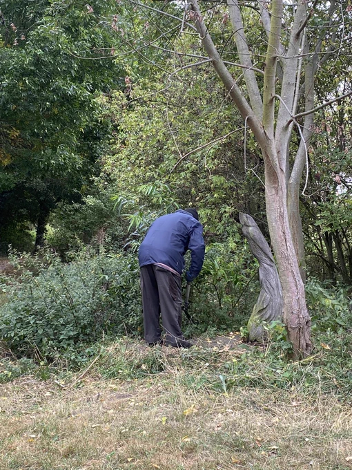A volunteer cutting back vegetation around a wooden sculpture. Using hand tools. The sculpture subject itself open to interpretation could be seen as a jumping fish or a bird.