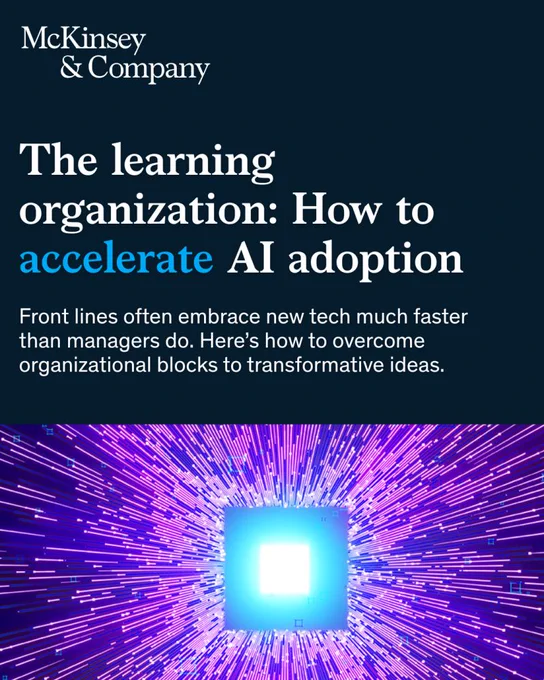 The learning organization: How to accelerate AI adoption