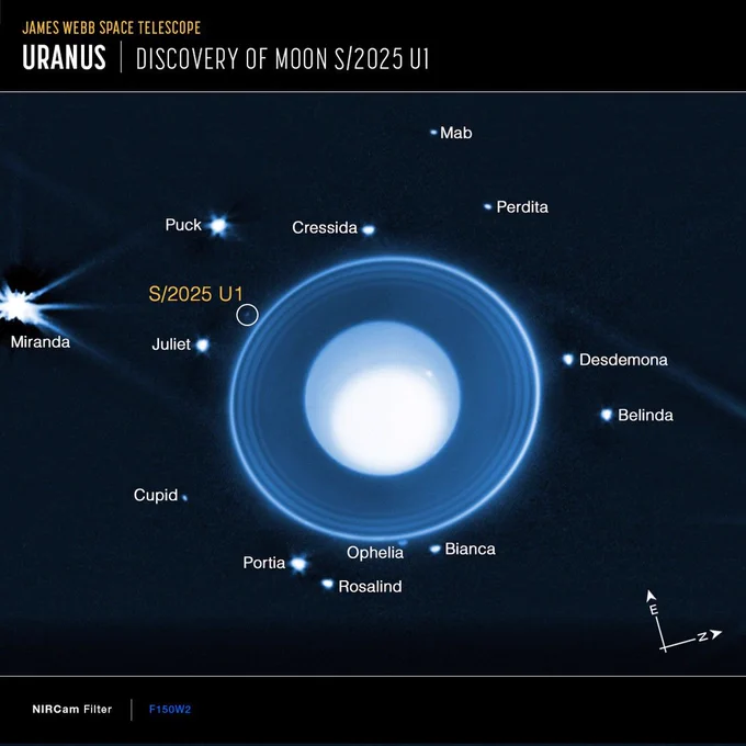 A graphic showing the planet Uranus and several of its known moons against a dark background. Its newly-discovered moon, S/2025 U1, is circled in the image. Credit: NASA, ESA, CSA, STScI, M. El Moutamid (SwRI), M. Hedman (University of Idaho)