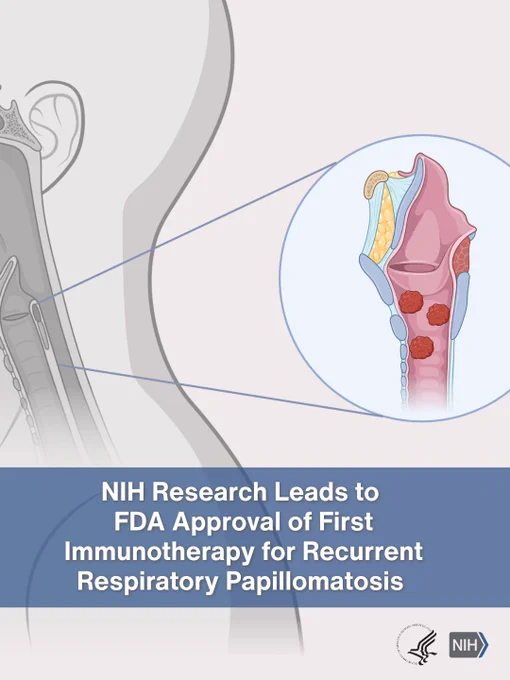 NIH Research Leads to FDA Approval of First Immunotherapy for Recurrent Respiratory Papillomatosis (RRP)

Image of RPP