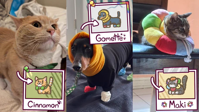 A collage showing photos of various pets, next to photo frames showing the sprite interpretation of them as Townseek critters. In this collage, the first pet is a blonde cat named Cinnamon, who is wearing a green bowtie and is smugly leaning towards the camera. The second pet is a black dog named Gomette, who is wearing a black sweater with a yellow hoodie and multicoloured bag shoes. The third pet is a gray cat named Maki, who is wearing an enormous multicoloured flower accessory around her neck, making her look like a big flower.