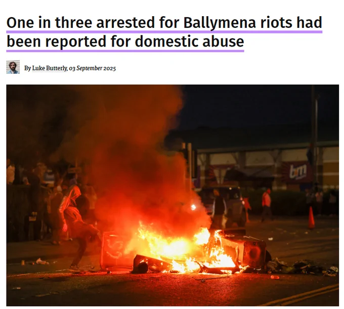 Image of racist violence with headline: One in three arrested for Ballymena riots had been reported for domestic abuse - screenshot from The Detail article by Luke Butterly 
