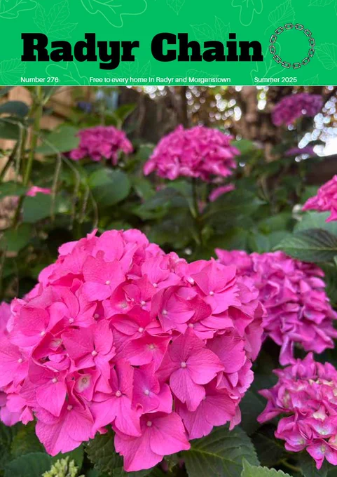 Cover of Radyr Chain edition 276 featuring large photo of a pink flower head