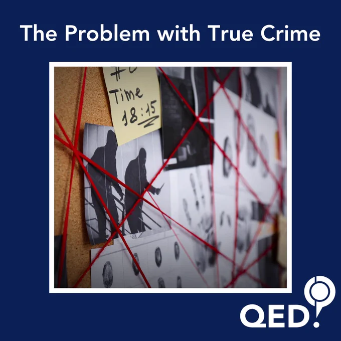 A graphic with the panel title "The Problem with True Crime".