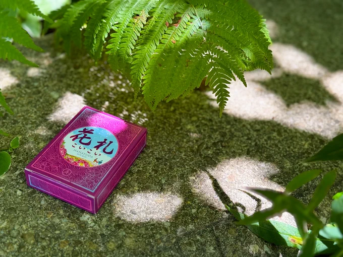 Pencil First Games Hanafuda Deck in the Garden with Sunlight
