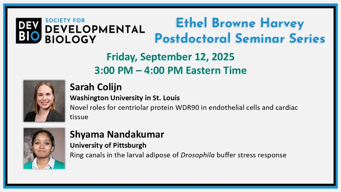 Society for Developmental Biology Ethel Browne Harvey Postdoctoral Seminar Series
Friday, September 12, 2025, 3:00pm - 4:00 pm Eastern Time
Sarah Colijn (Washington University in St. Louis)
Novel roles for centriolar protein WDR90 in endothelial cells and cardiac tissue
Shyama Nandakumar (University of Pittsburgh)
Ring canals in the larval adipose of Drosophila buffer stress response