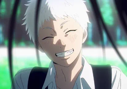Hikaru from The Summer Hikaru Died smiling
