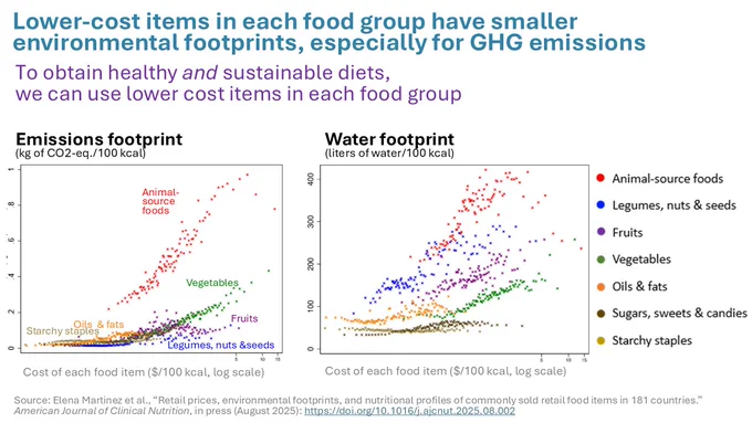 Slide showing correlation between higher food prices and larger environmental footprints in major food groups 