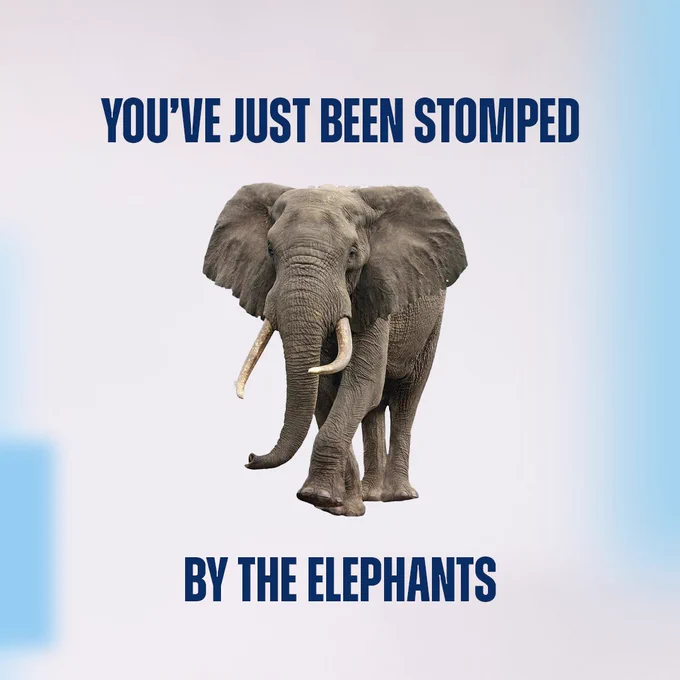 You've just been stomped by the elephants