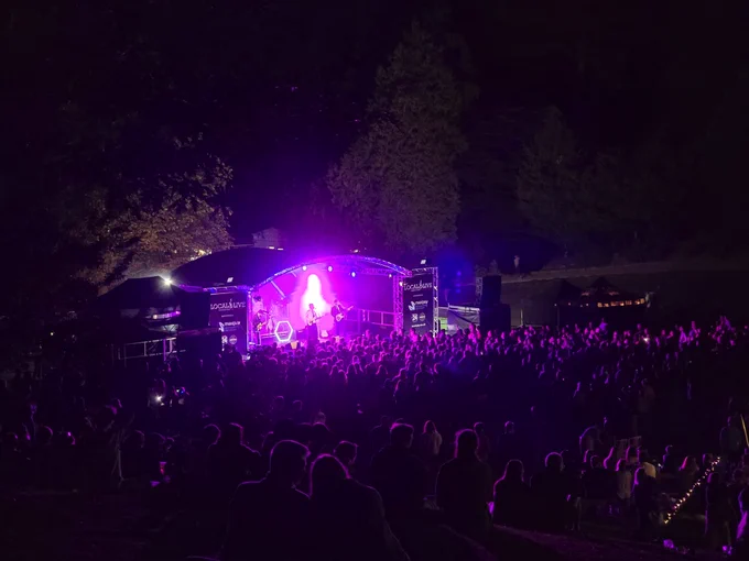 The Polygons performing at night on the Local and Live stage, with pink lighting and a big crowd.