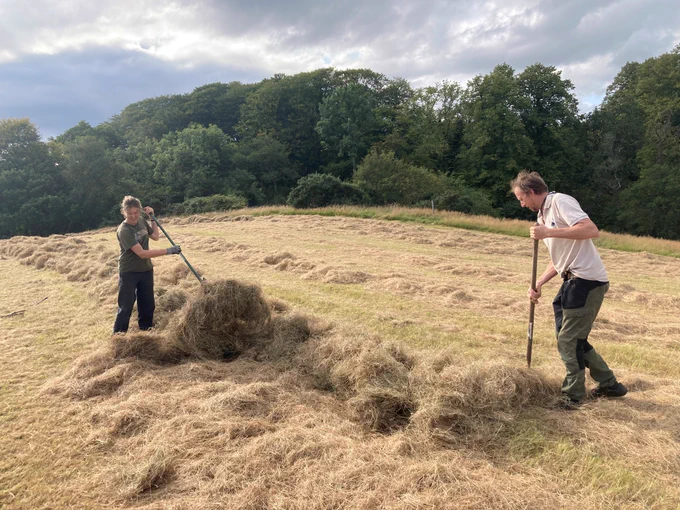 Katharine and David Lowrie on their farm raking hay with mature native woodland in background