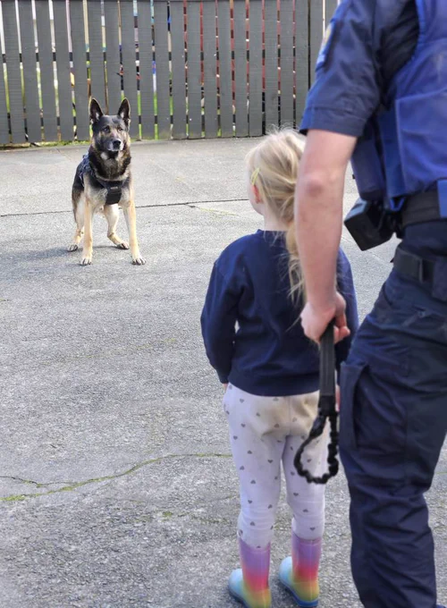 Police Dog, Utah