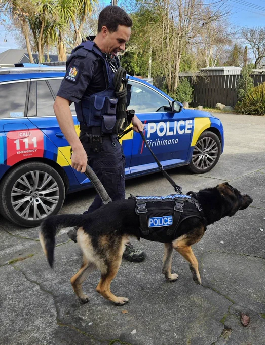 Police & Police Dog
