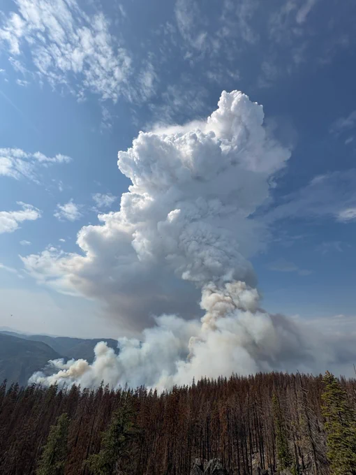 Fire smoke from wildfire 