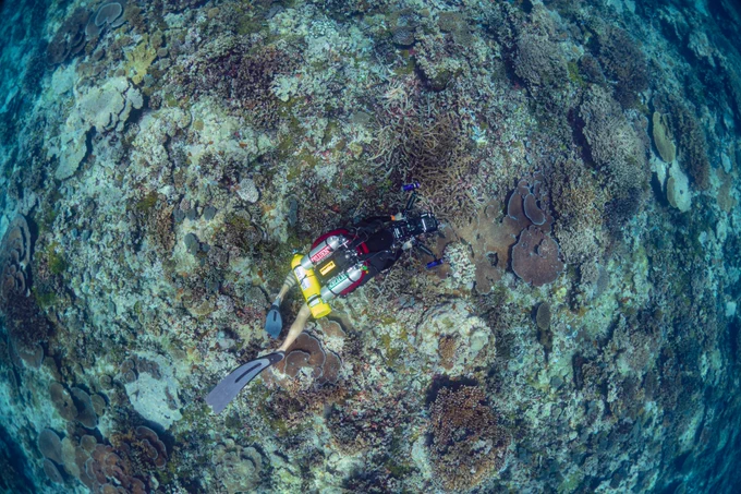 A scientist wearing technical rebreather diving gear, holds a large underwater camera with lights, and hovers over a vibrant coral reef, with the dark blue ocean stretching into the background.