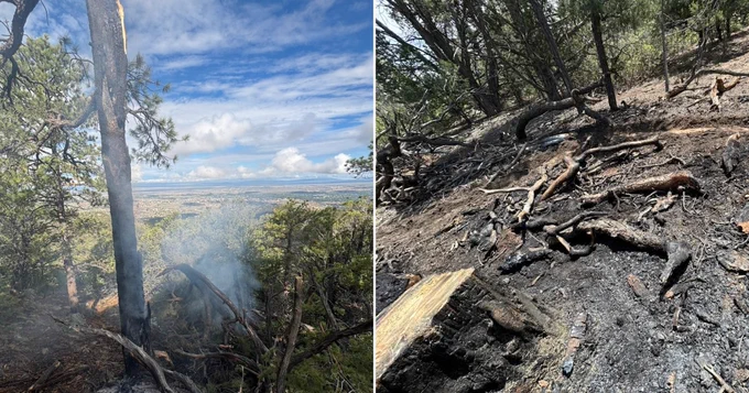 Collage of two small wildfires in a forest.