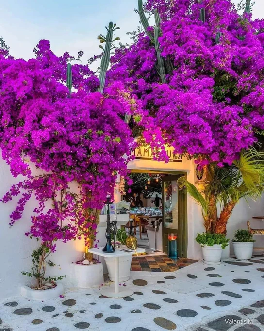 Mykonos Island, Greece 🇬🇷
Photo by @minogiannisvalantis
