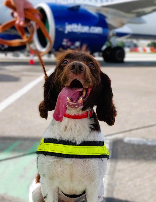 One happy police pooch!