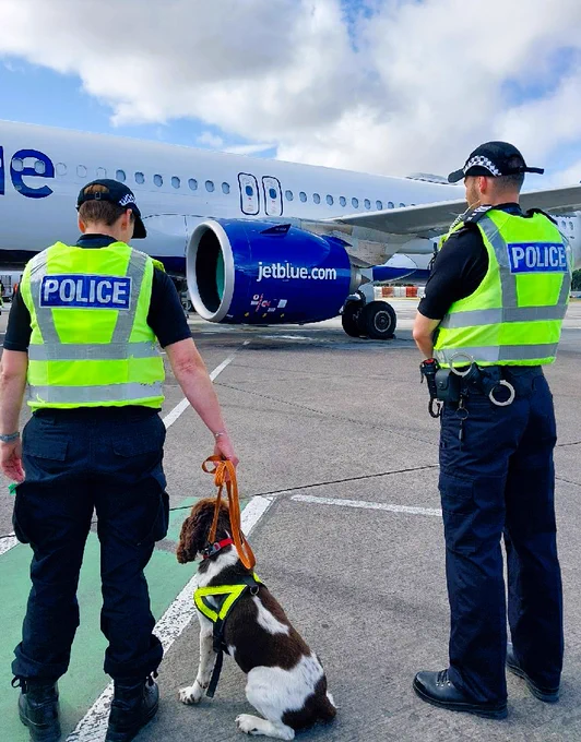 Officers monitoring a flight with our four legged friend