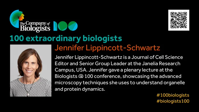 The Company of Biologists 100 logo to the left and QR code to the right. Portrait of Jennifer Lippincott-Schwartz to the left, text to the right 100 extraordinary biologists Jennifer Lippincott-Schwartz 

Jennifer Lippincott-Schwartz is a Journal of Cell Science Editor and Senior Group Leader at the Janelia Research Campus, USA. Jennifer gave a plenary lecture at the Biologists @ 100 conference, showcasing the advanced microscopy techniques she uses to understand organelle and protein dynamics.