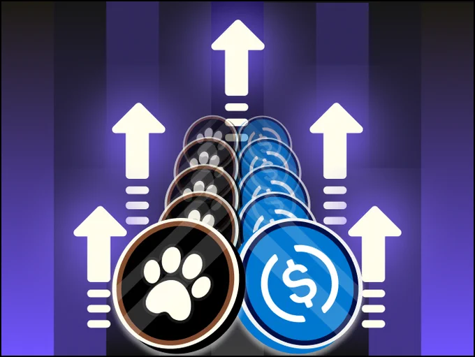 pawUSDC