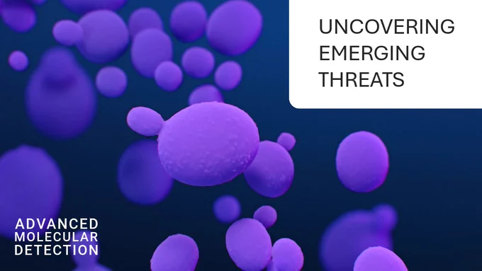 3D illustration of Candida auris, a drug-resistant fungus. Text overlay states: "Uncovering Emerging Threats” and “Advanced Molecular Detection.”