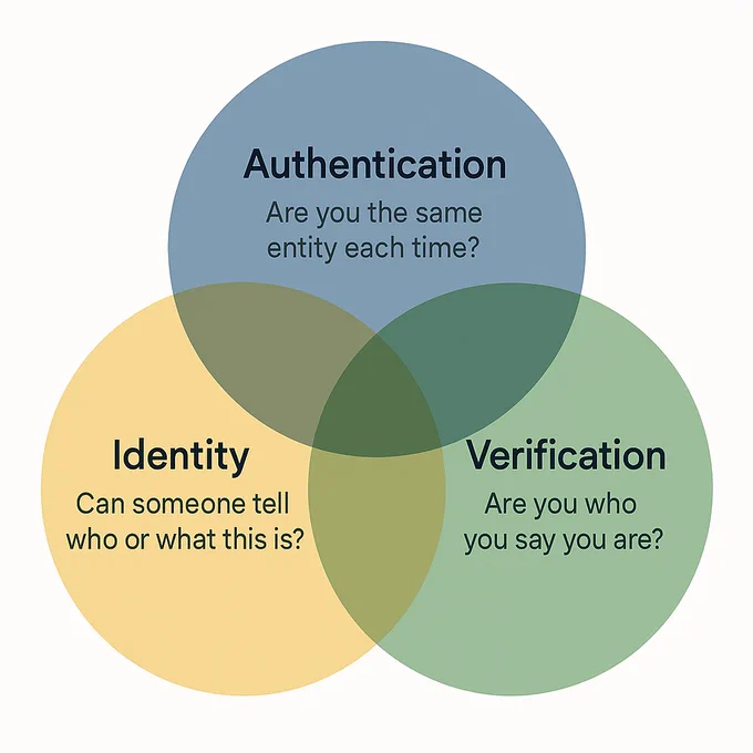 A Venn diagram illustrating three overlapping components of digital identity architecture. Each circle is labeled with a guiding question and its corresponding system: Authentication – “Are you the same entity each time?”, Identity – “Can someone tell who or what this is?”, and Verification – “Are you who you say you are?”. The overlapping areas suggest interaction and shared responsibilities among these systems. The design emphasizes modularity and the potential for consistent application across legacy and modern digital identity standards and systems.