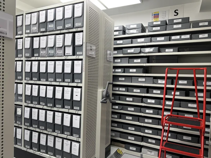 Photograph of rolling archival shelving, filled with grey boxes with white labels.  On the right is a red rolling ladder.