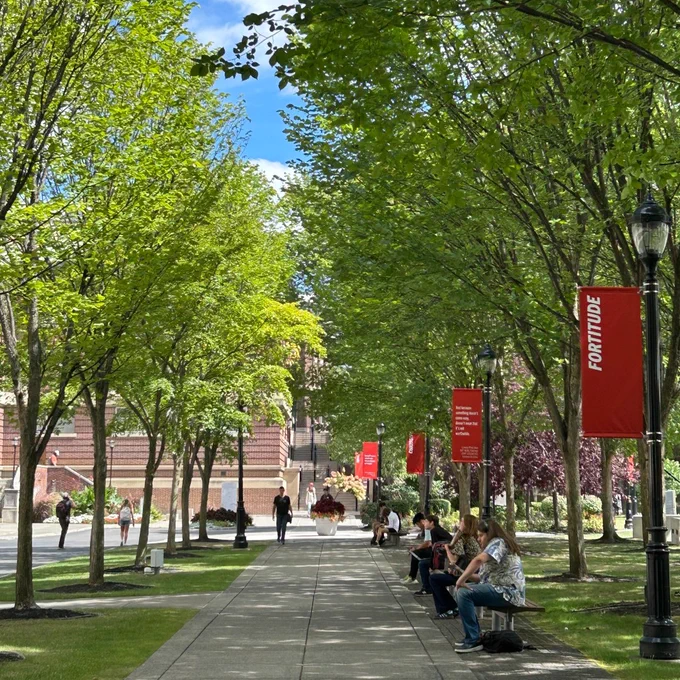 A scenic view of a tree-lined walkway on Rensselaer Polytechnic Institute's campus, with individuals sitting on benches and banners hanging from lamp posts.