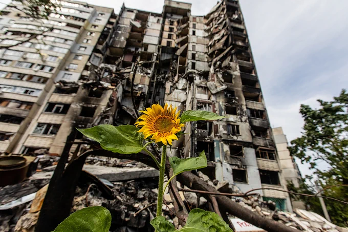 A yellow flower grows in the ground in front of a damaged building.