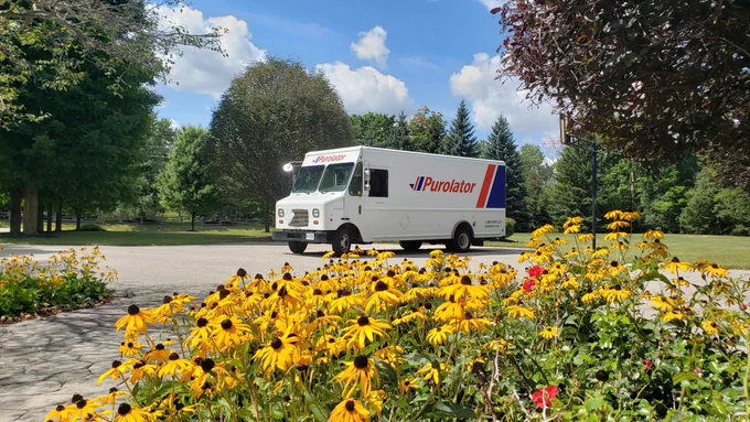 A white Purolator delivery truck is parked on a residential driveway surrounded by lush green trees and a bright blue sky with fluffy clouds. In the foreground, vibrant yellow coneflowers bloom, adding color and life to the peaceful suburban scene.