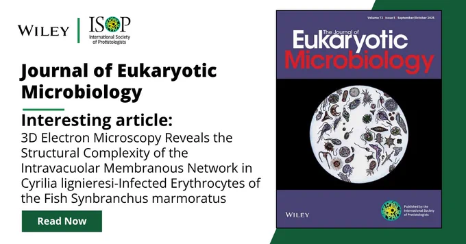 Banner promoting an Interesting Article for July/August 2025 for 'The Journal of Eukaryotic Microbiology'. The article is '3D Electron Microscopy Reveals the Structural Complexity of the Intravacuolar Membranous Network in Cyrilia lignieresi-inflected Erythrocytes of the Fish Synbranchus marmoratus'