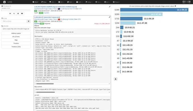 IVRE Web UI, showing one specific result and the most common versions of the identified Citrix NetScaler instances.