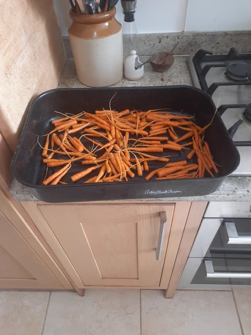 Baby carrots in pan for roasting 