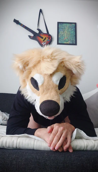 Shibe showing his fleshy fingers D:!?!?