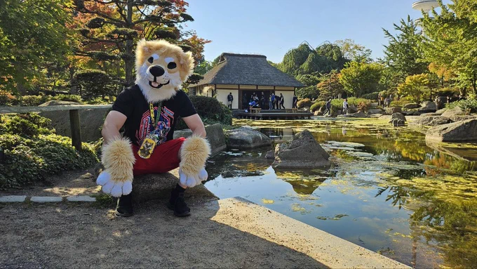 Shibe Enjoying the japanese garden at Eurofurence
