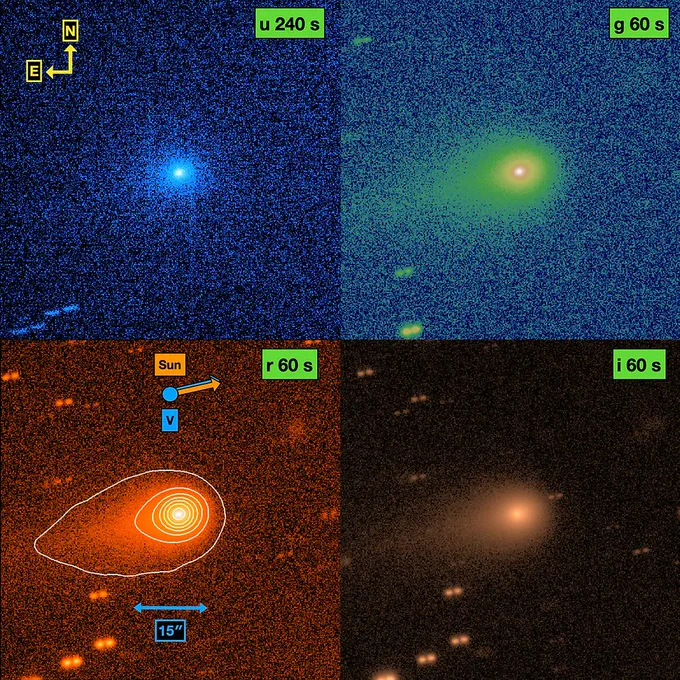 THESE IMAGES OF 31 / ATLAS ARE MAKING THE ROUNDS.