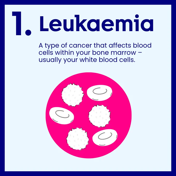 Four infographic panels from Cancer Research UK Cambridge Centre on types of blood cancers. Panel 1 introduces three main groups. Panel 2 explains leukaemia, affecting white blood cells in bone marrow. Panel 3 covers lymphoma, affecting lymphocytes in the immune system. Panel 4 describes myeloma, affecting plasma cells in bone marrow. Each panel includes bold titles, brief descriptions, and simple illustrations showing cells, the human body, or bone structure in bright blue, pink, and white.