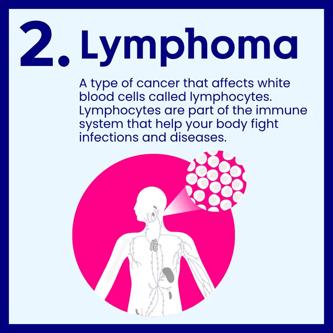Four infographic panels from Cancer Research UK Cambridge Centre on types of blood cancers. Panel 1 introduces three main groups. Panel 2 explains leukaemia, affecting white blood cells in bone marrow. Panel 3 covers lymphoma, affecting lymphocytes in the immune system. Panel 4 describes myeloma, affecting plasma cells in bone marrow. Each panel includes bold titles, brief descriptions, and simple illustrations showing cells, the human body, or bone structure in bright blue, pink, and white.