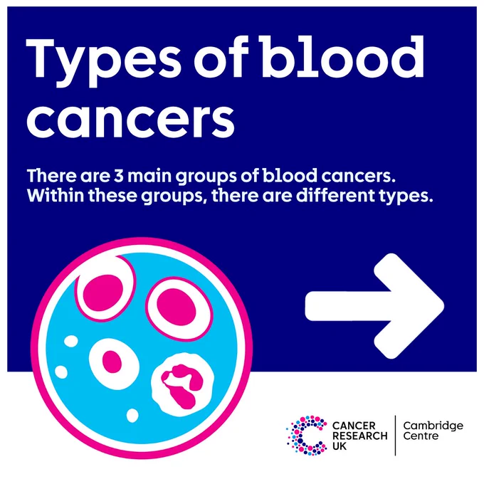 Four infographic panels from Cancer Research UK Cambridge Centre on types of blood cancers. Panel 1 introduces three main groups. Panel 2 explains leukaemia, affecting white blood cells in bone marrow. Panel 3 covers lymphoma, affecting lymphocytes in the immune system. Panel 4 describes myeloma, affecting plasma cells in bone marrow. Each panel includes bold titles, brief descriptions, and simple illustrations showing cells, the human body, or bone structure in bright blue, pink, and white.