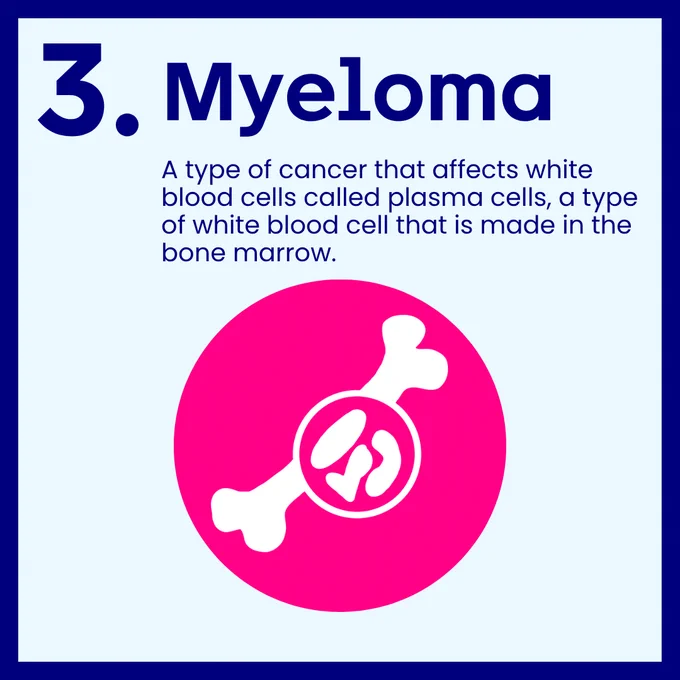 Four infographic panels from Cancer Research UK Cambridge Centre on types of blood cancers. Panel 1 introduces three main groups. Panel 2 explains leukaemia, affecting white blood cells in bone marrow. Panel 3 covers lymphoma, affecting lymphocytes in the immune system. Panel 4 describes myeloma, affecting plasma cells in bone marrow. Each panel includes bold titles, brief descriptions, and simple illustrations showing cells, the human body, or bone structure in bright blue, pink, and white.