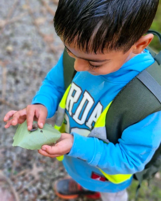 Kids Forest Visit