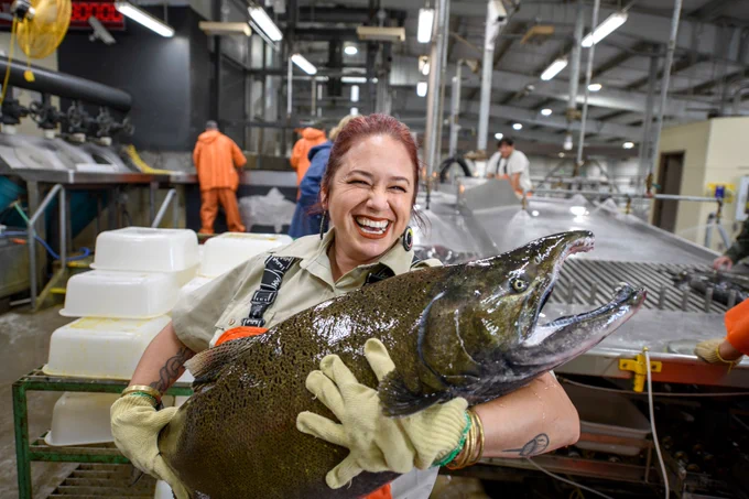 A USFWS employee holds a huge salmon in her arms while standing in a large warehouse facility. 