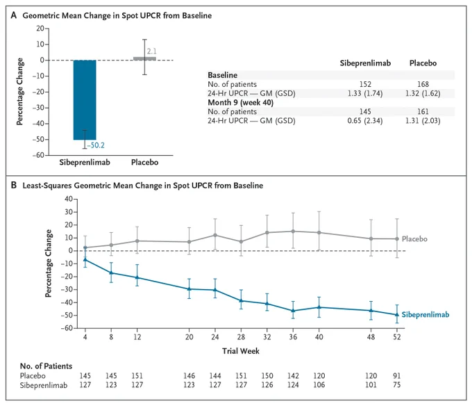 Panel A: The percentage reduction of 24-hour urinary protein-to-creatinine ratio (UPCR) at month 9 is compared to baseline with the use of analysis of covariance (ANCOVA). 
Panel B: A line plot (generated from a mixed model for repeated measures) of spot UPCR results by visit as compared with baseline.